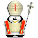 Penguin pingouin pinguino 3
